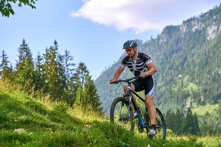 Urlaub auf dem Bauernhof
